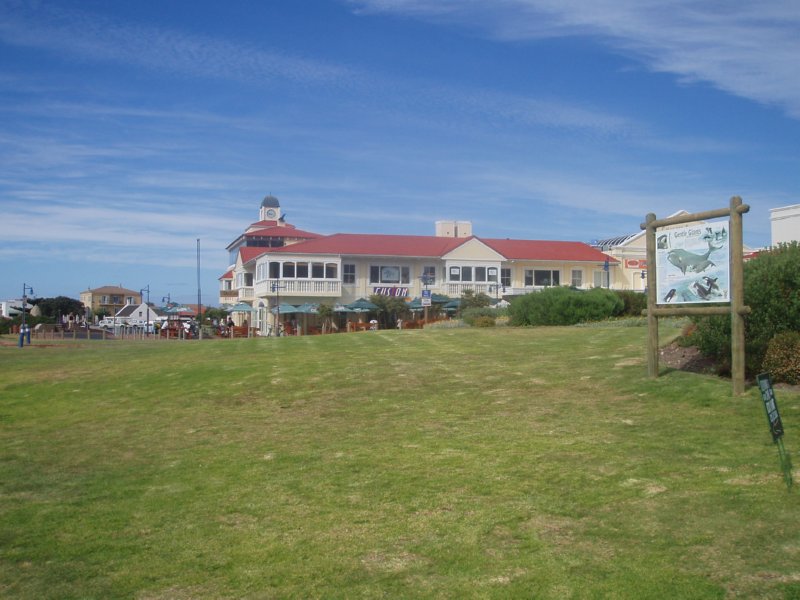 KeHa_in_South_Africa - 186